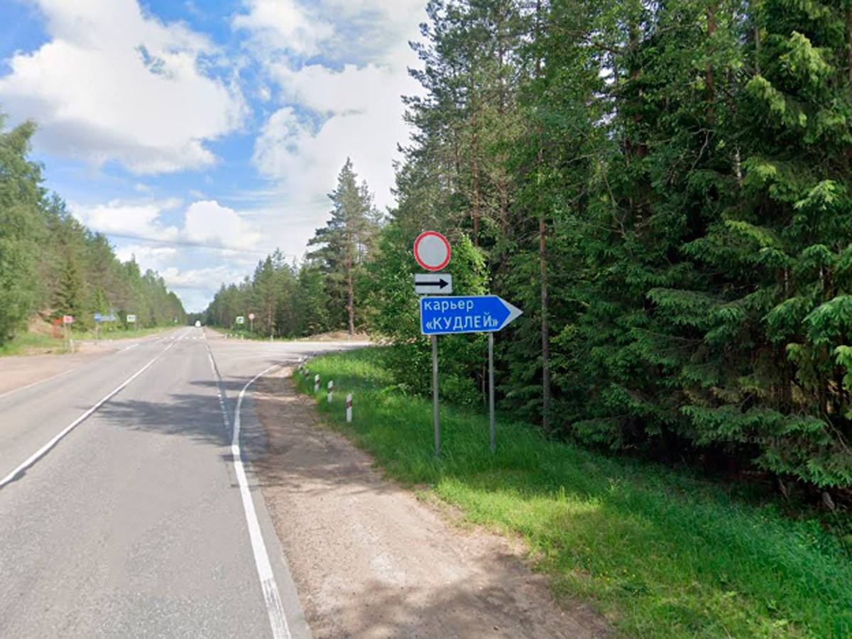 Кудлей 