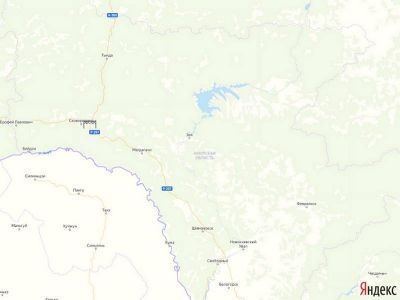 весовой контроль и рамки платон в Амурской области