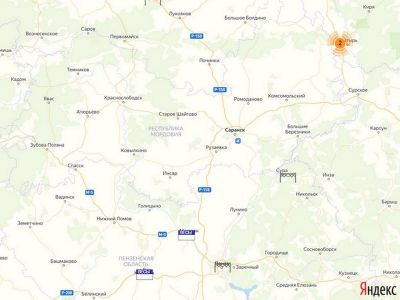 Весовой контроль в Мордовии