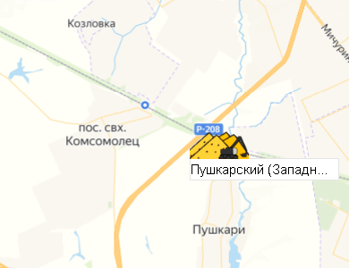 Пушкарский (Западный участок)  на карте