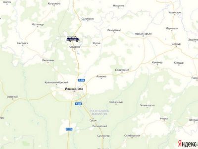 Весовой контроль в Марий Эл