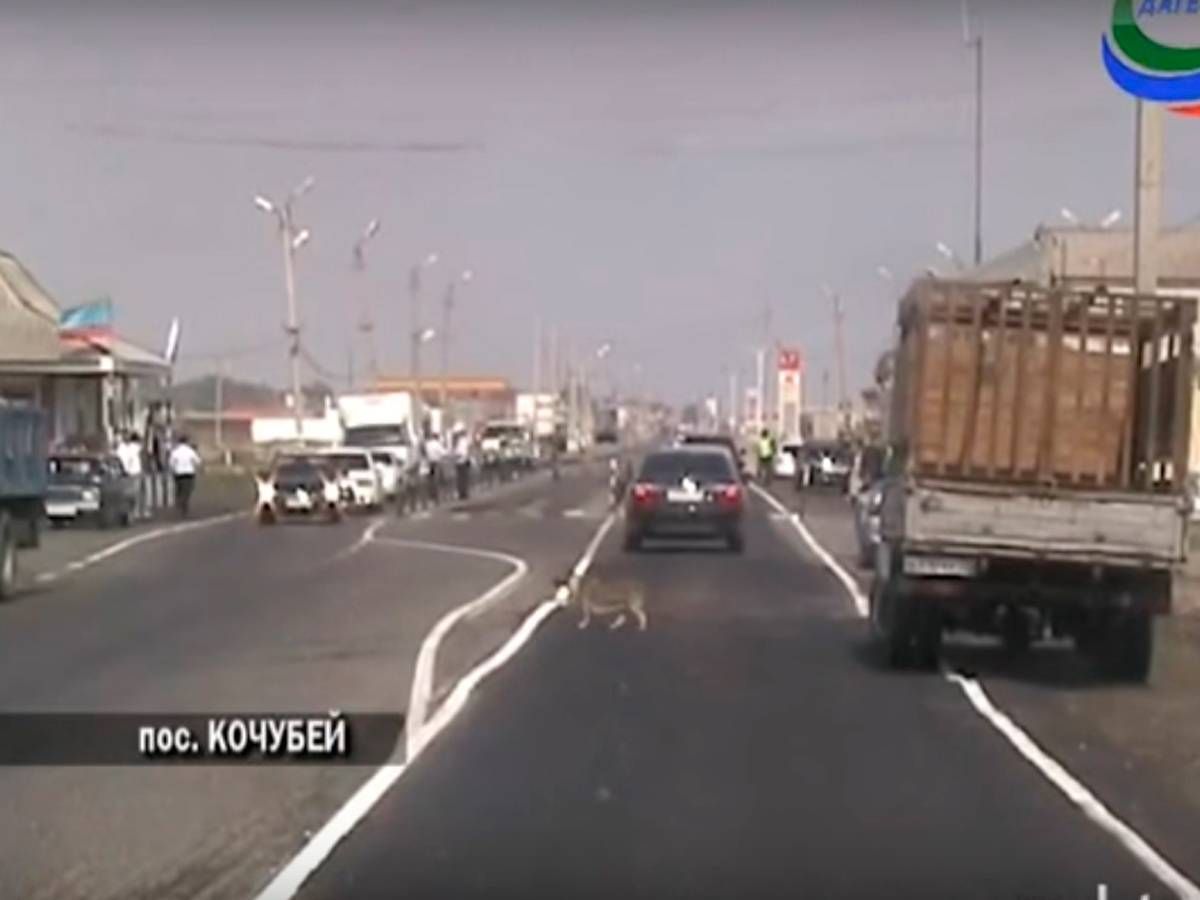 Пост в Кочубее